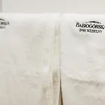 Babiogorska B&B