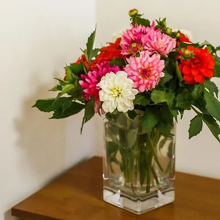 Babiogorska Bed & Breakfast