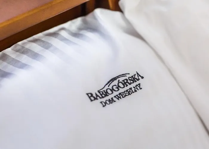 住宿加早餐酒店 Babiogorska Zubrzyca Gorna