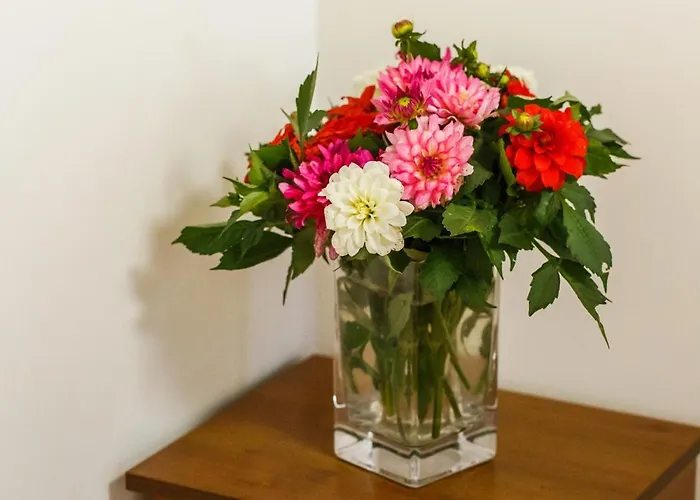 Babiogorska 住宿加早餐酒店